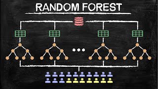 Random Forest for Beginners | Machine Learning in Plain English