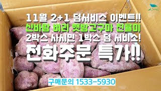 [신바람 농산물 협력농가 판매상품 1533-5930  (신선마켓.com)]  2박스 사시면 1박스 덤 서비스 진행중- 신바람 벼리 햇밤고구마 진율미 3kg 5kg 10kg 판매