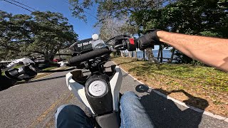 2015 Honda Grom | 4k | POV |