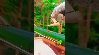 Just wow Bamboo with slingshot #video #facts #bambooart #bamboocraft #bamboolovers #bambootree