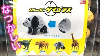 最新ガチャガチャ『ガシャポンタマゴラス』を回してみた！変形する動物がスゴい！【ガチャリP】