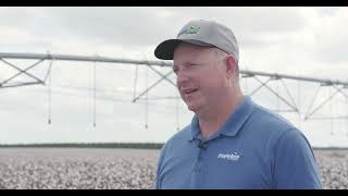 Southeast cotton varieties for better profit potential