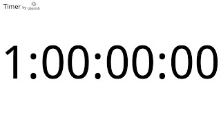 1 Day Countdown Timer
