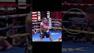 Teofimo S Perfect Boxing Trap