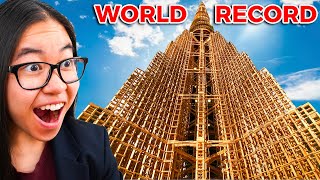 *Collapsing* the World's Tallest Kapla Tower! (Behind the Scenes)