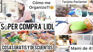 Vlog/🛒SUPER COMPRA SEMANAL LIDL/VENTAJAS APP Lidl/MATERNIDAD X4/Tarjeta PARLANTE Homestec Montessori