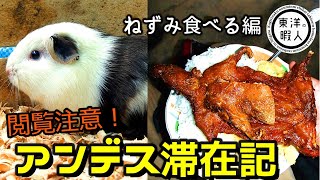 閲覧注意！【アンデス滞在記vol.4】ねずみ食べる編　青年海外協力隊でのひとコマ　ペルー