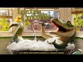 Lyle, Lyle, Crocodile 2022 Movie HD || Javier Bardem, W Fegley || Lyle, Crocodile Movie Full Review