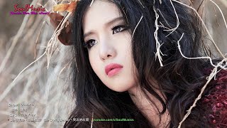 Chen Rui • 陳瑞 ♫  The Crying Beauty • 哭泣的紅顏 【 Beautiful Chinese Music 】