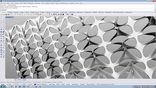 Algorithmic Design 01 | Introduction
