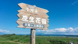 滋賀から北海道家族旅行：小清水原生花園駅から望むオホーツク海