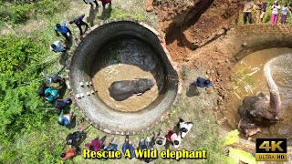 rescue a wild elephant from the well #attack #elephant #rescue