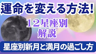 12星座別🌟新月と満月の過ごし方で運命を変える方法！