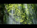 psychedelic relaxing music,psychedelic relaxing,relaxing music for dreaming,sleep music for dreaming