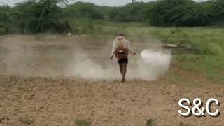 My father spraying fertiliser on jowar crop ||  Just tried reversing video ||# Telugu Fun