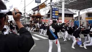 平成26年10月4日福泉だんじり祭・菱木奥