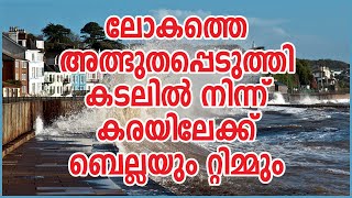 ലോകത്തെ അത്ഭുതപ്പെടുത്തി കടലില്‍ നിന്ന് കരയിലേക്ക് ബെല്ലയും റ്റിമ്മും| Sunday Shalom | Ave Maria