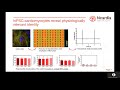 ncardia isscr 2020 poster presentation large scale manufacturing ipscs for cell therapy