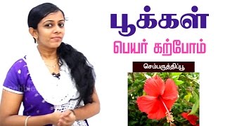 மழலையர் பாடம் | Preschool Tamil | பூக்கள் பற்றி | Pookkal pattri | About flowers