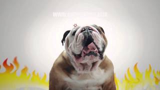 SMARTHEART SMART PET  DOG 30sec TVC