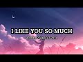 DJ I LIKE YOU SO MUCH REMIX BREAKBEAT 2024