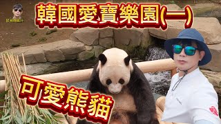 提姆微旅行 | 可愛大貓熊來囉 | 愛寶樂園Panda館 | 工作人員一直睡 | 好可愛哦