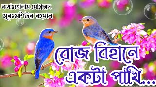 রোজ বিহানে একটা পাখি।। Roj bihane ekta pakhi.. New Islamic bangla song.. #banglaislamic song.....