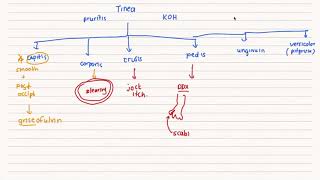 Dermatophyte Infections for the USMLE | HyGuru Tutoring