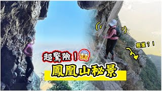 【想哭！】挑戰鳳凰山亡命天門棧道｜香港最高天然岩洞｜一樹洞 北天門 羅漢塔 鳳凰山