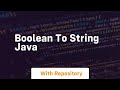 boolean to string java
