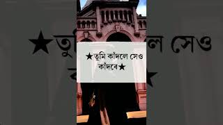 পৃথিবীতে সবচেয়ে বড় বন্ধু হল আয়না..!! #broken #couplegoals #sad