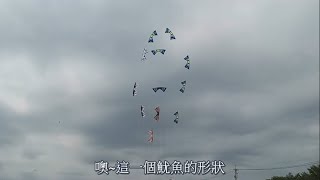 2021苗栗風箏節 特技風箏也有魷魚遊戲 2021 Miaoli Kite Festival stunt kites also have squid games