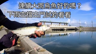 下大雨過後的烏魚和虱目魚釣況會好嗎？（228集）@Pin338548 阿平趴趴走