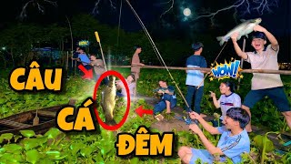 Anh Ba Phải | Thử Thách Câu Cá Đêm 🐟  | Night Fishing