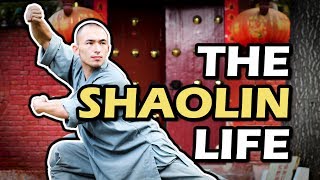 Why I Don't Miss The Shaolin Temple