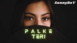 PALKE TERI|| NEW SONG || (prod.selvi) || SunnYBOY