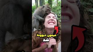 حمله جنجالی میمون اشتباهی 😮