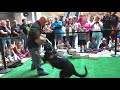 k9 demonstration lake county il 2 アメリカ シカゴ ポリス 警察犬 デモンストレーション