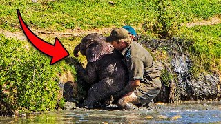 Ranger saves drowning baby elephant and can’t contain emotions when herd turns to ‘thank’ him