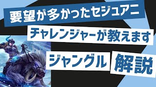 [セジュアニJG解説]要望がそこそこあったのでセジュ解説していきます！！ジャングル　セジュアニvsリーシン[League of Legends]