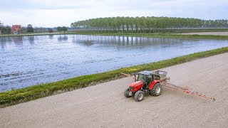 2 Techniques for Dry Sowing Rice: Broadcast and Underground 🌾