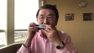 《常回家看看》Tremolo Harmonica Solo 口琴独奏