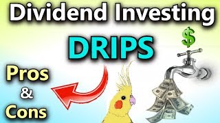 Dividend Investing: Pros and Cons of DRIPS (Dividend Reinvestment Plans)