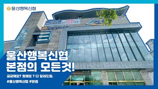 [울산행복신협본점소개]본점에 대한 모든 걸 알려드림(더보기란 퀴즈이벤트)