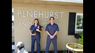 The PRC visits Pinehurst Animal Hospital.