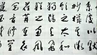 Calligrapher 任漢平   標準草書    二十四詩品 Cursive Script