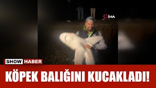 Tuttuğu boyu kadar köpek balığını sahilde kucaklayıp denize bıraktı