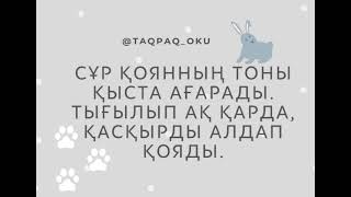 Авторские адаптивные стихотворения на казахском языке для детей. Қыс туралы тақпақ.