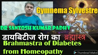 Brahmastra Homeopathic medicine for Diabetes mellitus - Gymnema Sylvestre Q