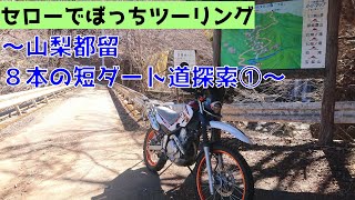 【山梨県都留】セローでぼっちツーリング【雪は残るが梅の香りの季節だねぇ～】　～８本の短ダートを探索してきました①～